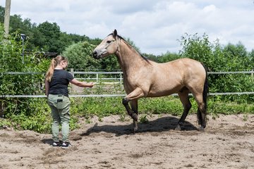 Bild 185 - Vivi